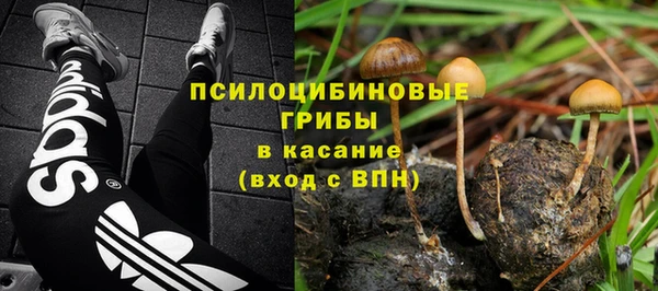 крисы Аркадак