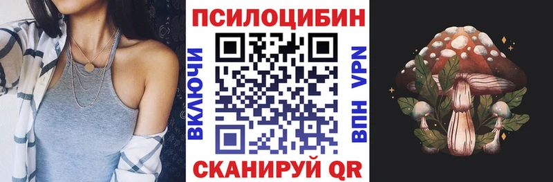 Галлюциногенные грибы ЛСД  Балтийск 